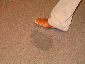 urine stained carpet cleaning